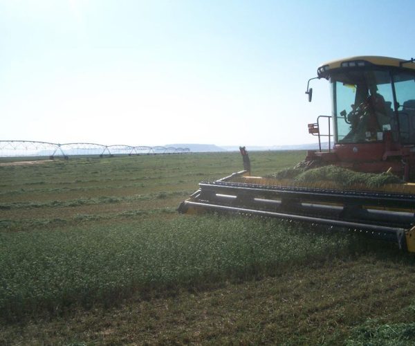 WhatsApp Image 2023-04-09 at 10.45.56 AM (3)