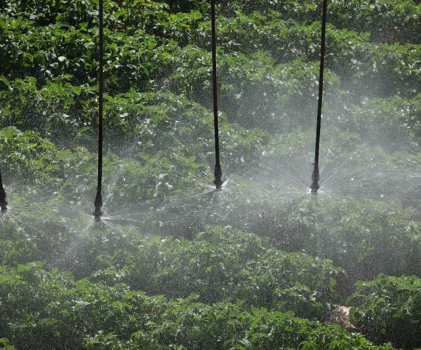 WhatsApp Image 2023-04-09 at 10.45.58 AM (3)