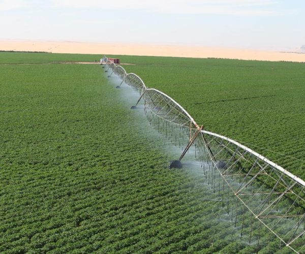 WhatsApp Image 2023-04-09 at 10.45.59 AM (5)